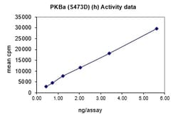 Eurofins DiscoverX Akt1/PKB ( PH, S473D) Protein, Active 10 &mu;g | Buy Online | Eurofins DiscoverX | Fisher Scientific
